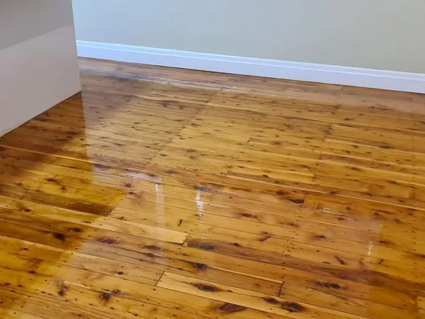 Golden finished floorboards with visible knots beside white skirting boards