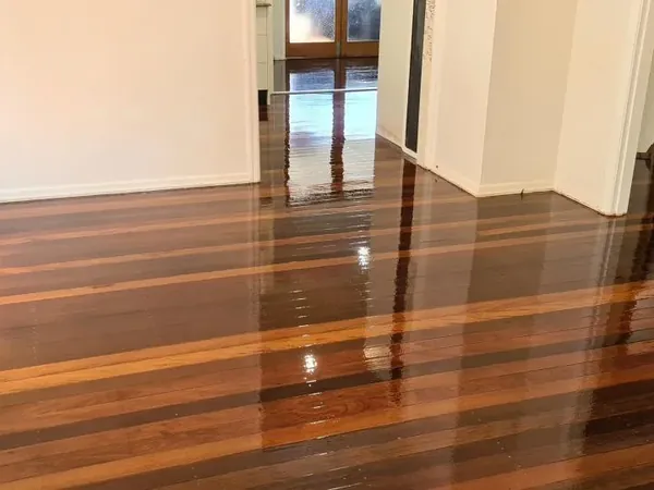 Sunlight reflecting across dark polished floorboards in an open living area